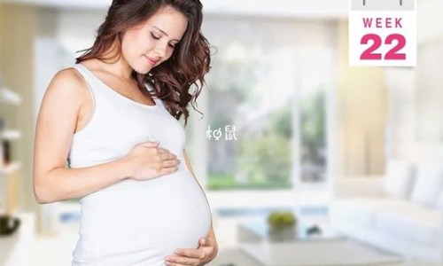 艺佳孕妇防辐射网防辐射孕妇装有用吗知识网站,分享防辐射的孕妇装真能防辐射吗大全